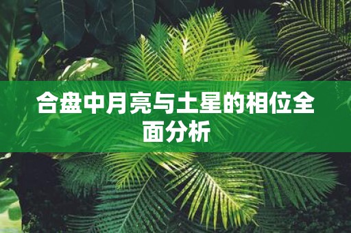 合盘中月亮与土星的相位全面分析