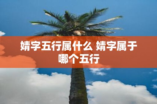 婧字五行属什么 婧字属于哪个五行