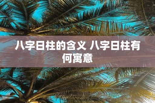 八字日柱的含义 八字日柱有何寓意