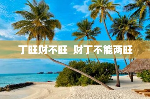 丁旺财不旺 财丁不能两旺