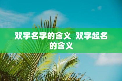双宇名字的含义 双字起名的含义