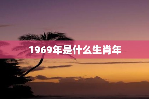 1969年是什么生肖年
