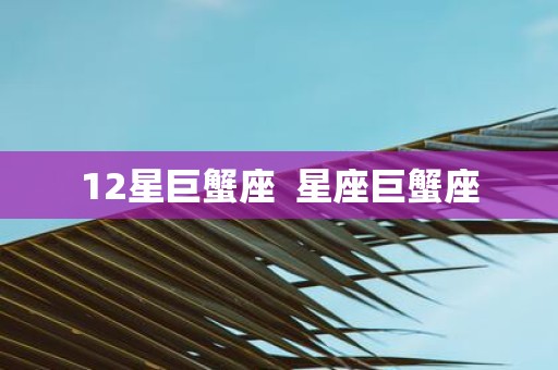 12星巨蟹座 星座巨蟹座