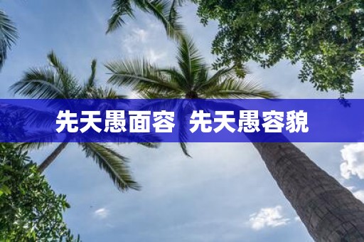先天愚面容 先天愚容貌