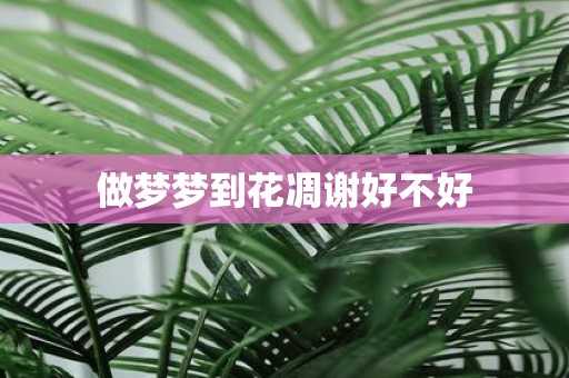 做梦梦到花凋谢好不好