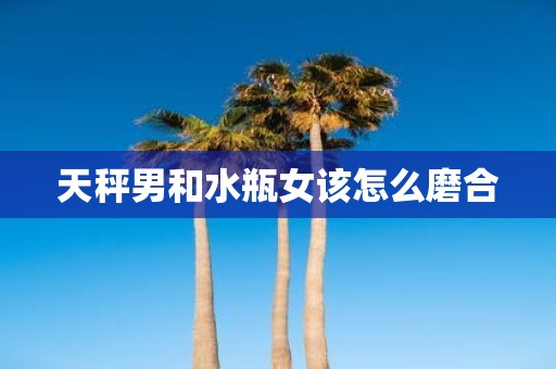天秤男和水瓶女该怎么磨合