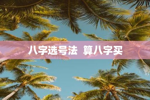 八字选号法 算八字买
