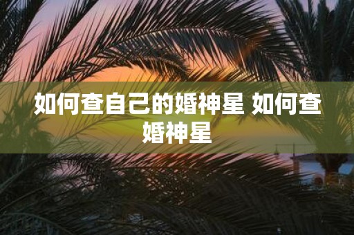 如何查自己的婚神星 如何查婚神星 如何查自己的婚神星 如何查婚神星