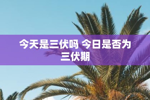 今天是三伏吗 今日是否为三伏期