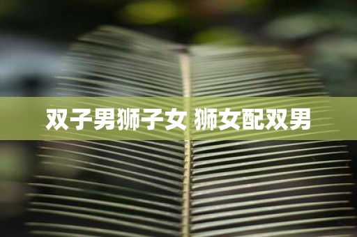 双子男狮子女 狮女配双男