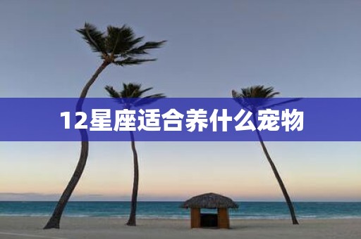 12星座适合养什么宠物