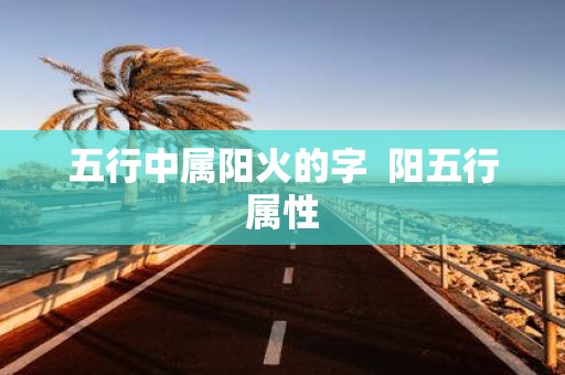 五行中属阳火的字 阳五行属性