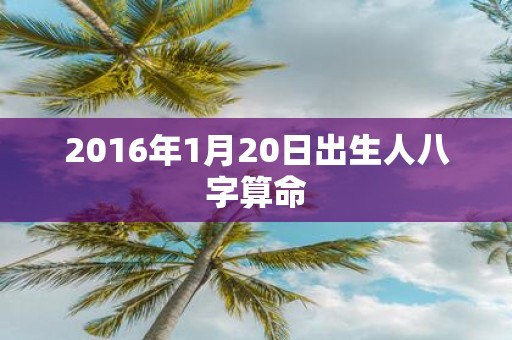2016年1月20日出生人八字算命