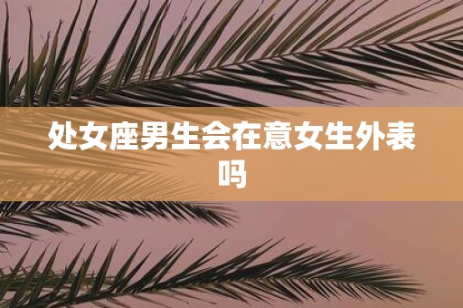 处女座男生会在意女生外表吗