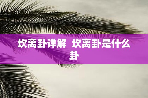 坎离卦详解 坎离卦是什么卦