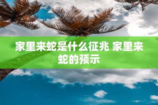 家里来蛇是什么征兆 家里来蛇的预示