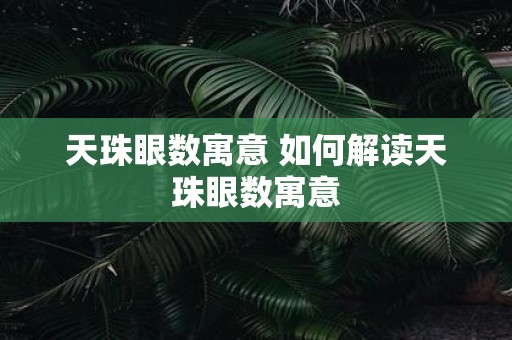 天珠眼数寓意 如何解读天珠眼数寓意
