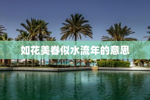 如花美眷似水流年的意思