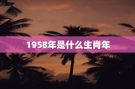 1958年是什么生肖年