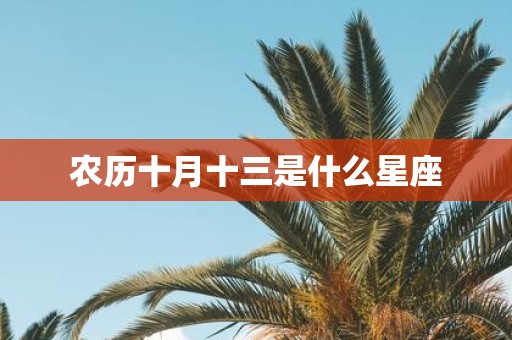 农历十月十三是什么星座