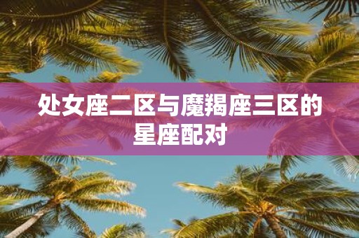 处女座二区与魔羯座三区的星座配对