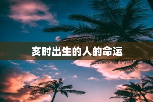 亥时出生的人的命运