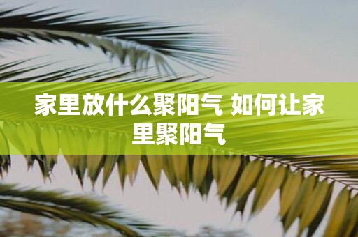 家里放什么聚阳气 如何让家里聚阳气