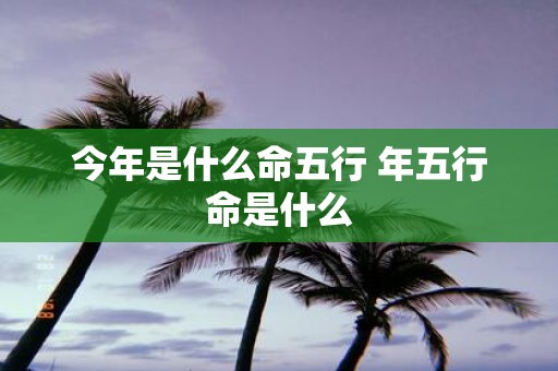 今年是什么命五行 年五行命是什么