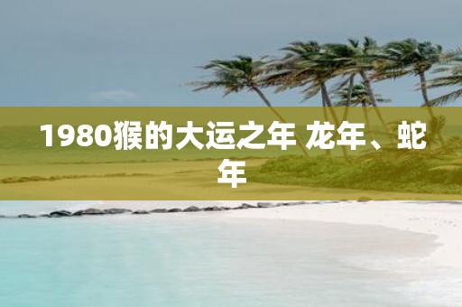 1980猴的大运之年 蛇年、蛇年 1980猴的大运之年 蛇年、蛇年