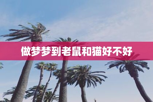 做梦梦到老鼠和猫好不好