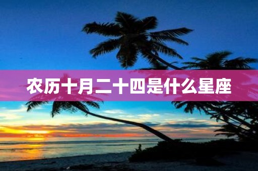 农历十月二十四是什么星座