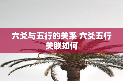 六爻与五行的关系 六爻五行关联如何