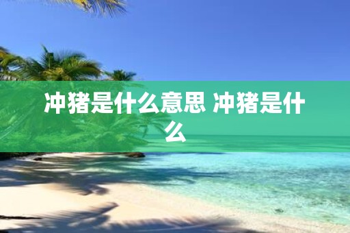 冲猪是什么意思 冲猪是什么