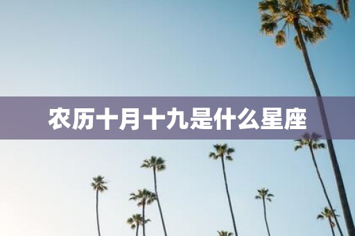 农历十月十九是什么星座
