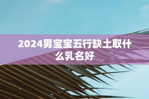 2025男宝宝五行缺土取什么乳名好