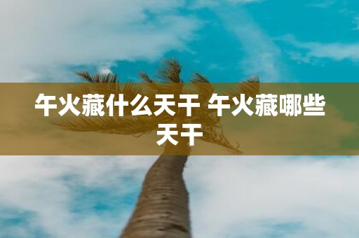 午火藏什么天干 午火藏哪些天干