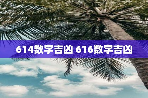 614数字吉凶 616数字吉凶