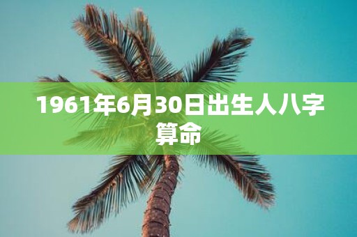1961年6月30日出生人八字算命