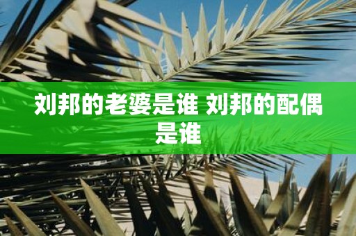 刘邦的老婆是谁 刘邦的配偶是谁