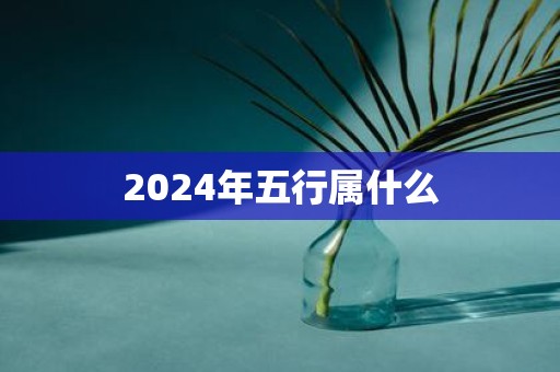 2025年五行属什么