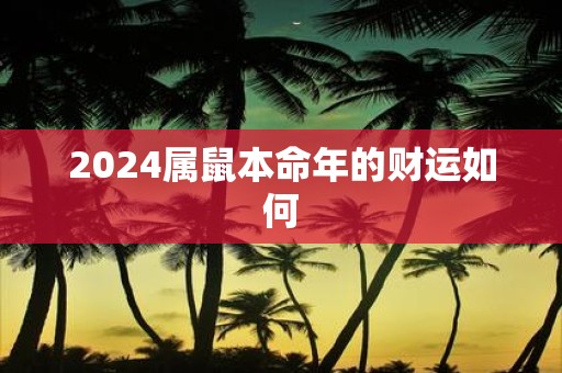 2025属鼠本命年的财运如何