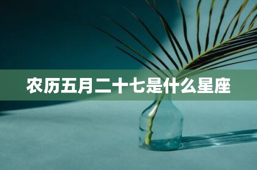 农历五月二十七是什么星座