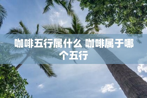 咖啡五行属什么 咖啡属于哪个五行