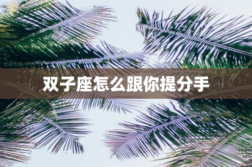双子座怎么跟你提分手