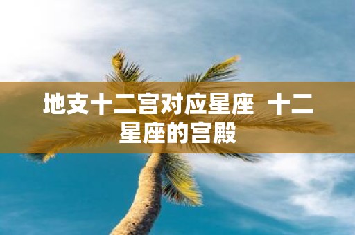 地支十二宫对应星座 十二星座的宫殿
