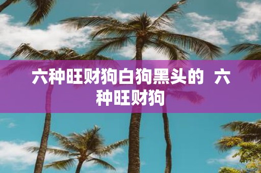 六种旺财狗白狗黑头的 六种旺财狗