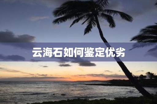 云海石如何鉴定优劣