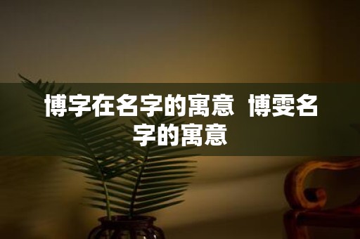 博字在名字的寓意 博雯名字的寓意
