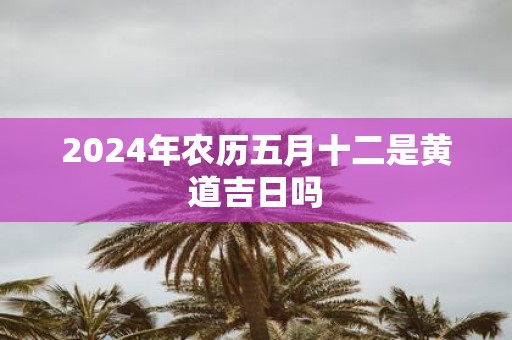 2025年农历五月十二是黄道吉日吗