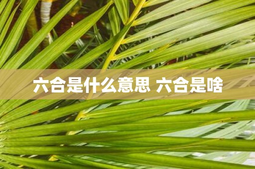 六合是什么意思 六合是啥